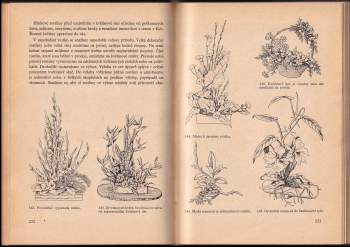 Anna Horynová: Praktické zahradnictví