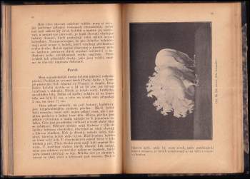 Josef Vrbka: Praktický holubář