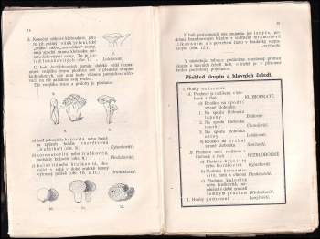 Václav Melzer: Praktický houbař