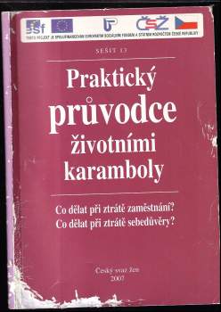 Praktický průvodce životními karamboly