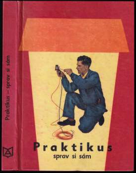 Praktikus