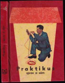 Praktikus