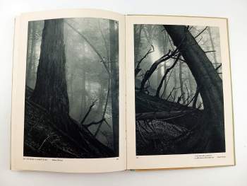 Rudolf Janda: Prales v Beskydách