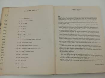 Rudolf Janda: Prales v Beskydách