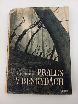 Prales v Beskydách