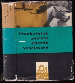 Praobyčejná zvířata