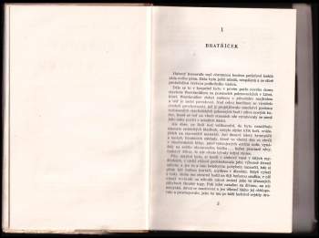 Helena Dvořáková: Prapory nad městem