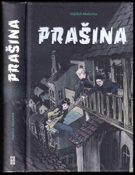 Prašina