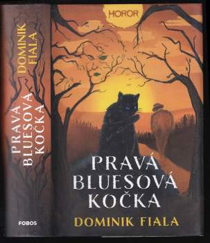 Pravá bluesová kočka