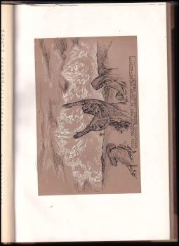 František Mareš: Pravda nad skutečnost!