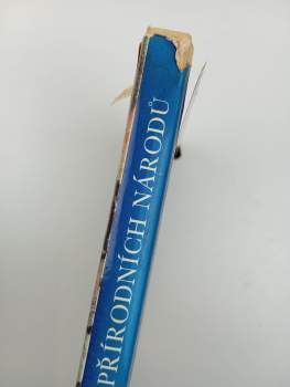 Andreas Lommel: Pravěk a umění přírodní národů