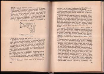 Jiří Neustupný: Pravěké dějiny Lužice