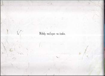 Shaun Tan: Pravidla léta