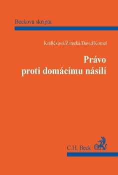 Právo proti domácímu násilí