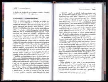 Gary Snyder: Praxe divočiny