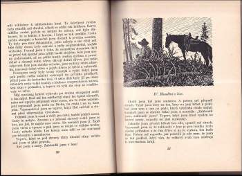 Zane Grey: Prázdniny v pralese