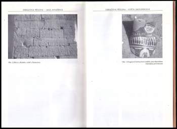 Pražské egyptologické studie