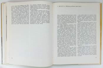 Jan Fischer: Pražské mosty