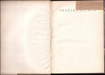 Alois Kubíček: Pražské paláce