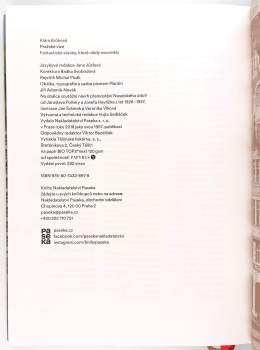 Klára Brůhová: Pražské vize