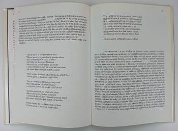 Vítězslav Nezval: Pražský chodec