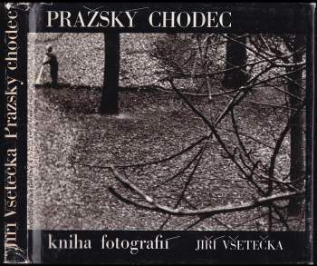 Pražský chodec