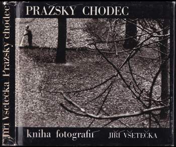 Vítězslav Nezval: Pražský chodec