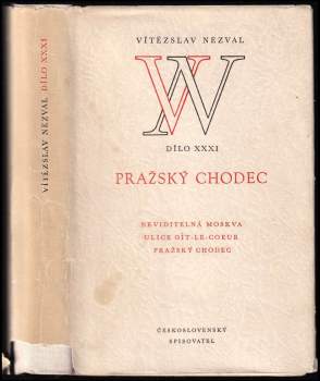 Pražský chodec