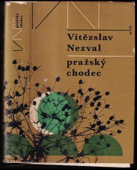 Pražský chodec