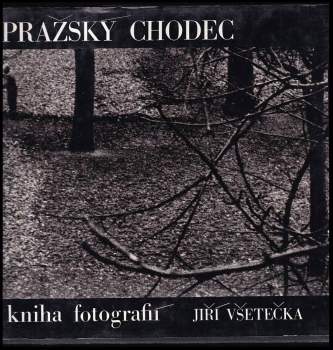 Pražský chodec