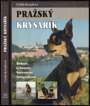 Pražský krysařík