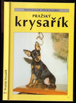 Pražský krysařík