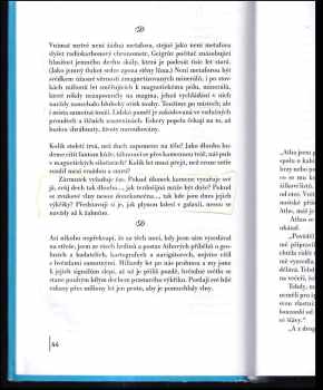 Anne Michaels: Prchavé okamžiky
