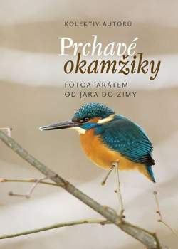 Prchavé okamžiky