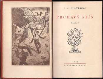 L. A. G Strong: Prchavý stín