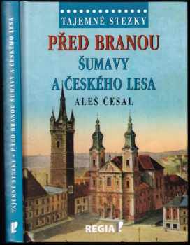 Před branou Šumavy a Českého lesa