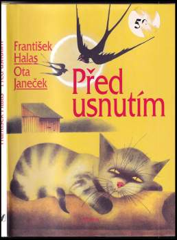 Před usnutím
