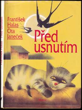 Před usnutím