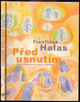 Před usnutím