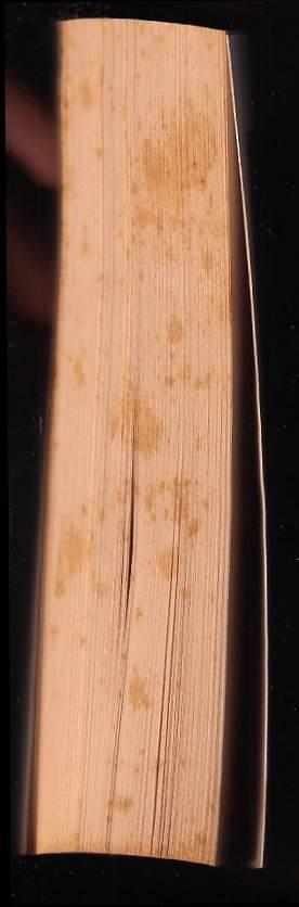 Kevin J Anderson: Předehra k Duně