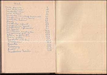 Marie Voříšková: Přednostovic Madlenka