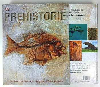 Douglas Palmer: Prehistorie