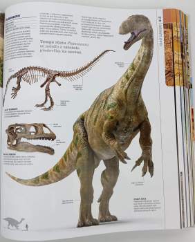 Douglas Palmer: Prehistorie