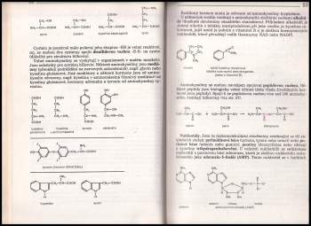 Stanislav Rosypal: Přehled biologie