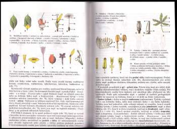 Stanislav Rosypal: Přehled biologie