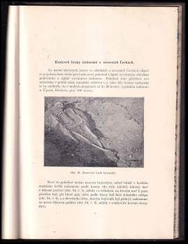 Josef Ladislav Píč: Přehled české archeologie