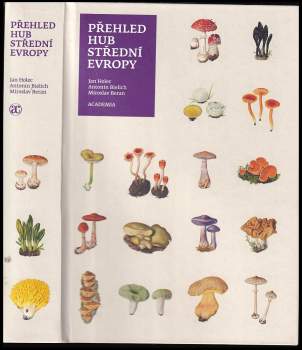 Miroslav Beran: Přehled hub střední Evropy