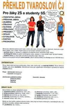 Přehled tvarosloví ČJ