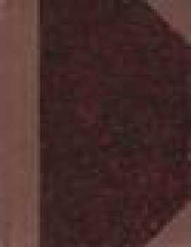 Jan Vondráček: Přehledné dějiny českého divadla