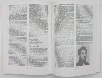 Bohuš Balajka: Přehledné dějiny literatury